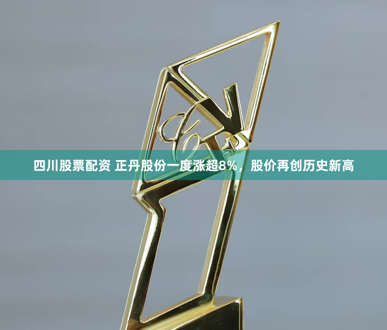 四川股票配资 正丹股份一度涨超8%，股价再创历史新高