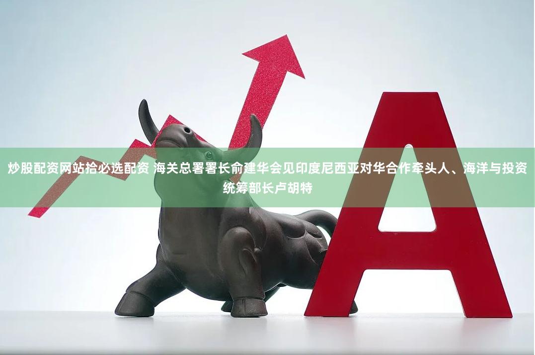 炒股配资网站拾必选配资 海关总署署长俞建华会见印度尼西亚对华合作牵头人、海洋与投资统筹部长卢胡特