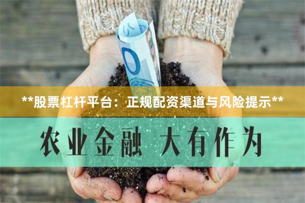 **股票杠杆平台：正规配资渠道与风险提示**